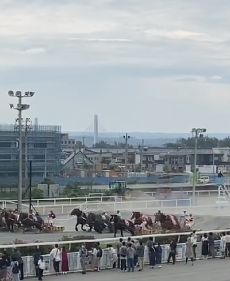 ばんえい競馬の様子