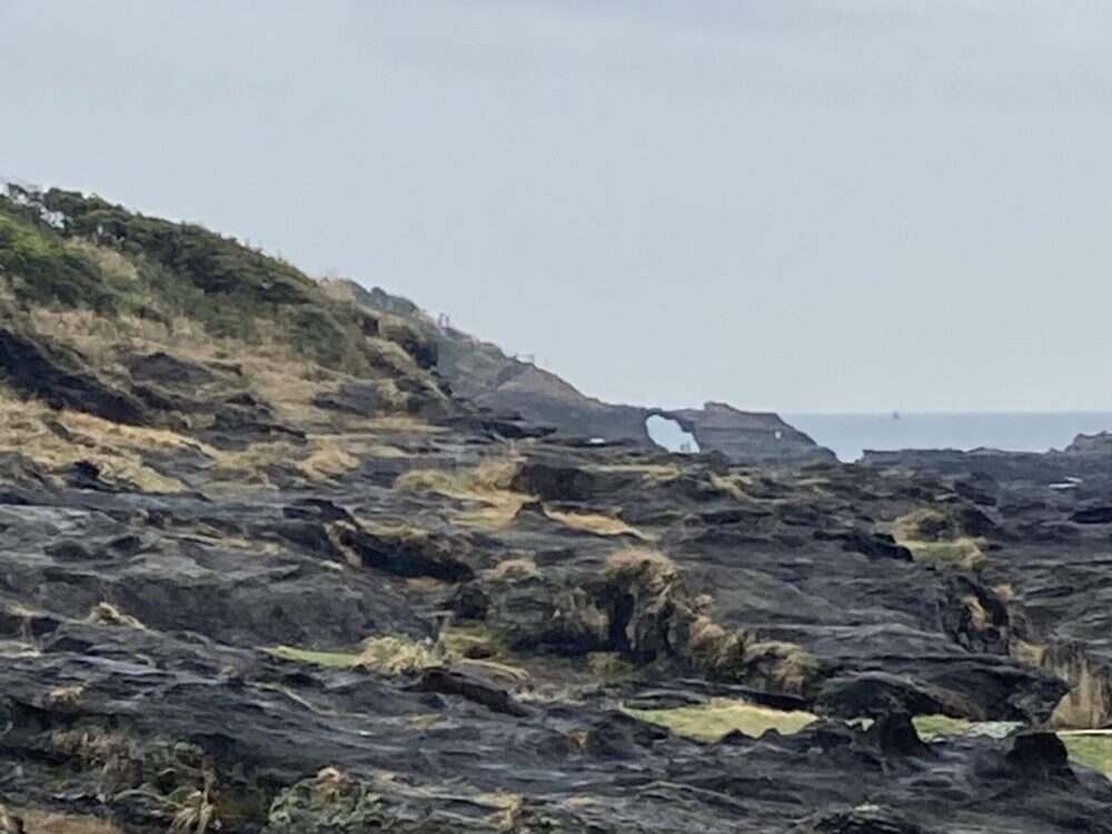 城ヶ島の馬の背洞門