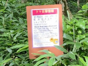 上高地の熊注意の看板