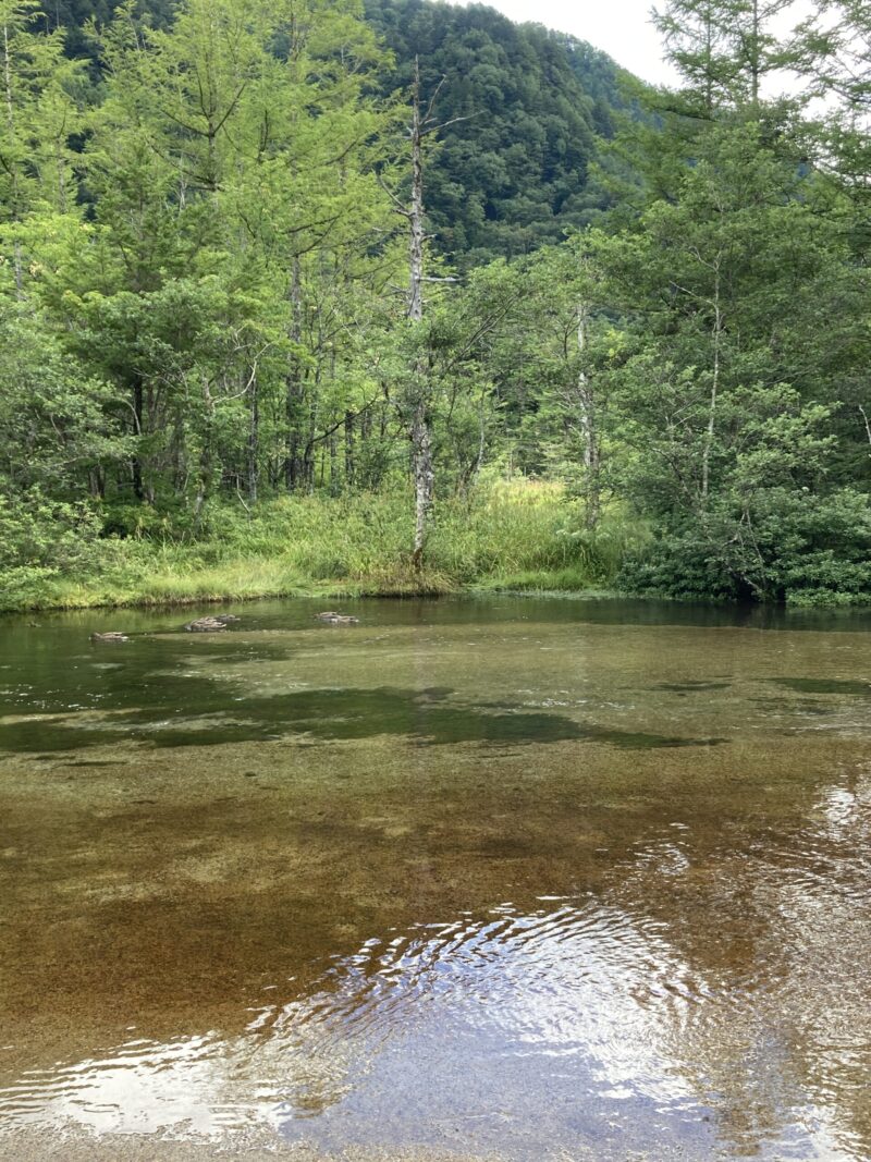 上高地の田代池