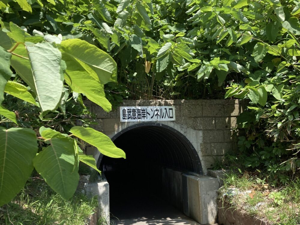 積丹の絶景島武意海岸へのトンネル