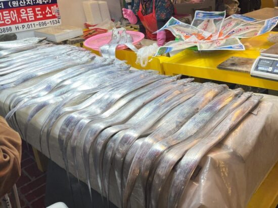 済州島東門市場の太刀魚