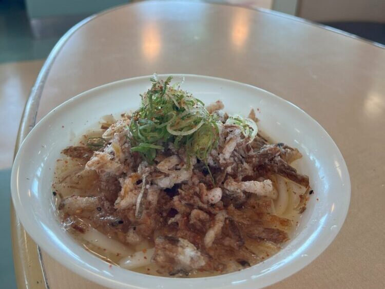さくらじまふぇりーのやぶ金うどん