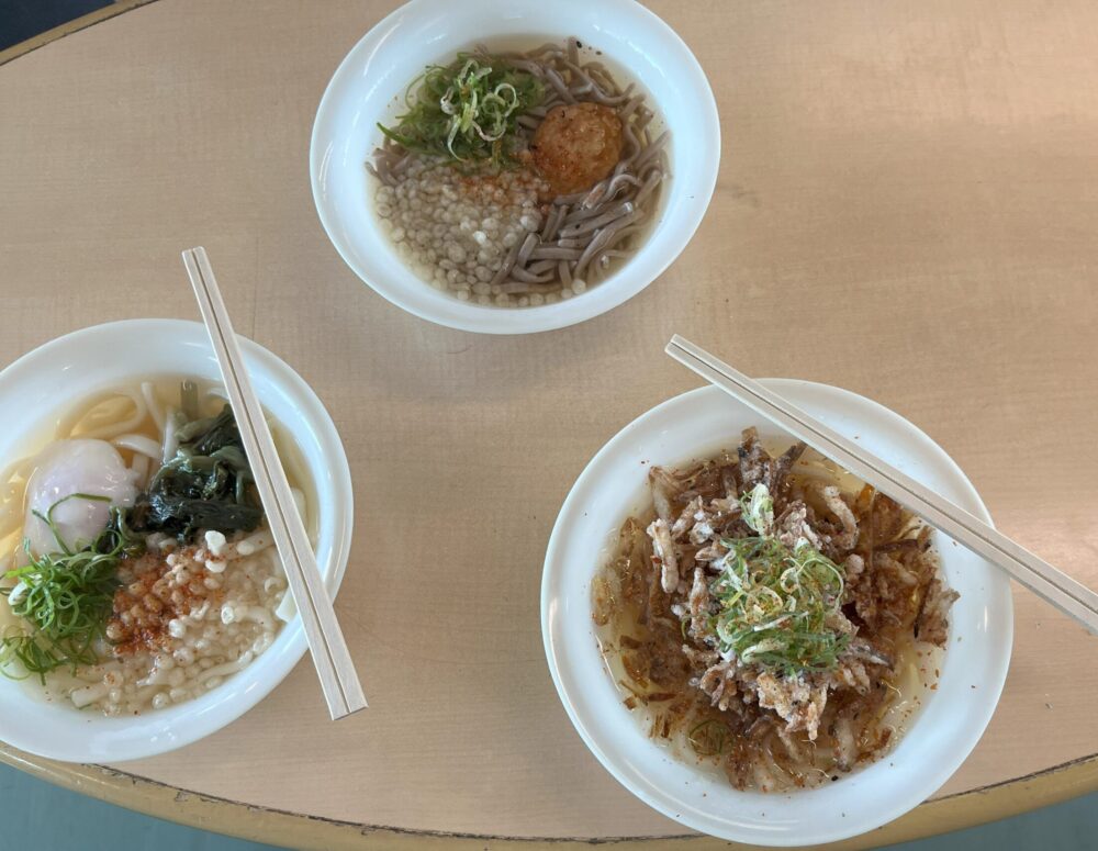 桜島フェリーのやぶ金うどん　山菜温玉うどん、やぶ金そば、ごぼ天うどん