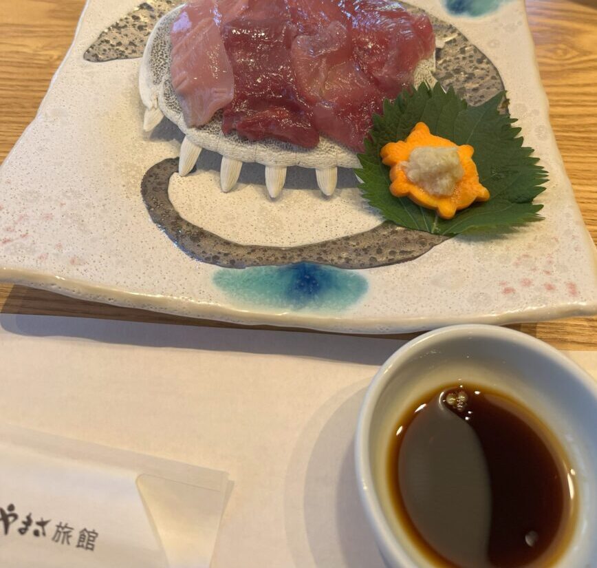 安心院のやまさ旅館のすっぽん刺身