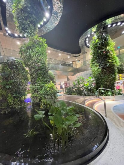 シンガポール　チャンギ国際空港の植物園