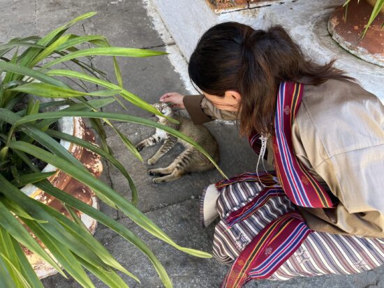 プナカゾンで猫をなでなでするガイドさん、キラが素敵