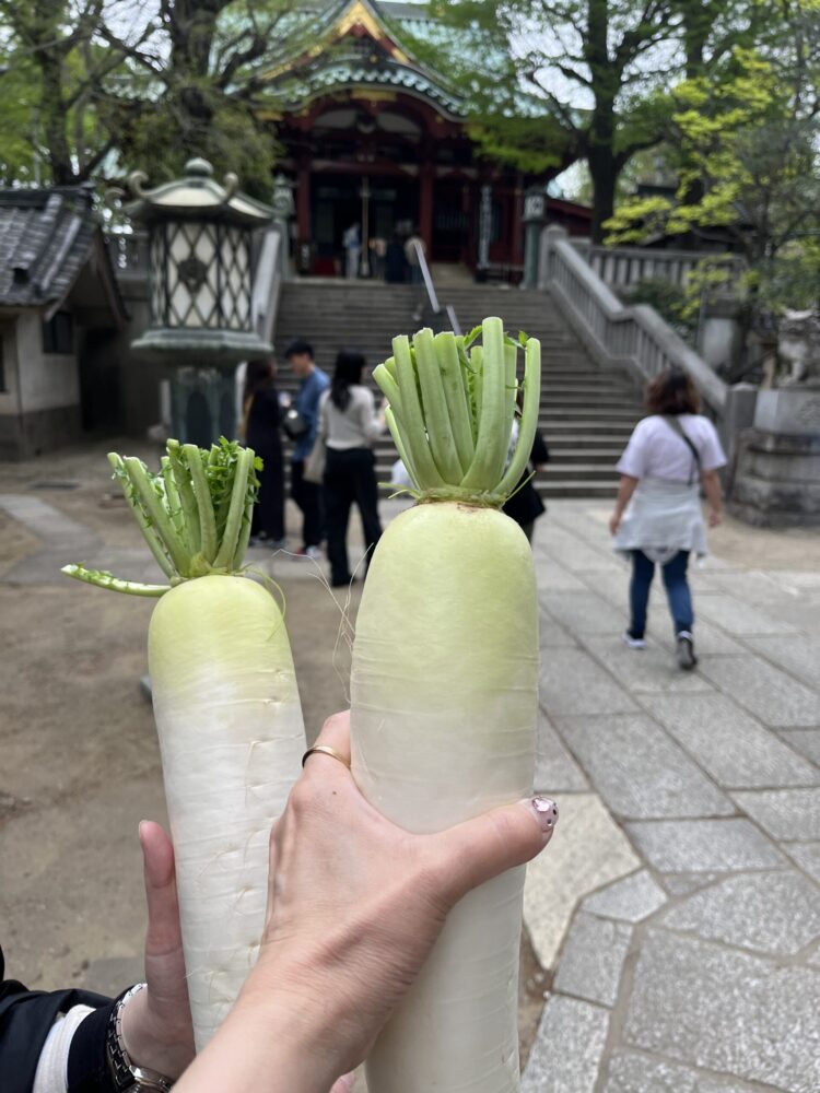 待乳山聖天のお供えの大根