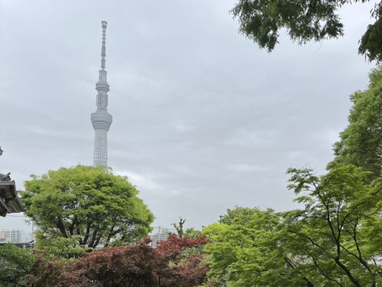 待乳山聖天の庭から見るスカイツリー