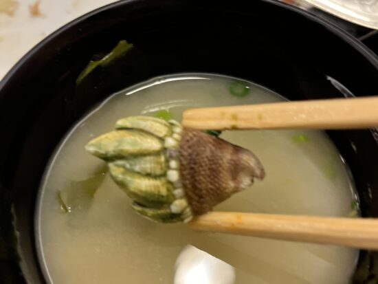 屋久島の珍味「亀の手」