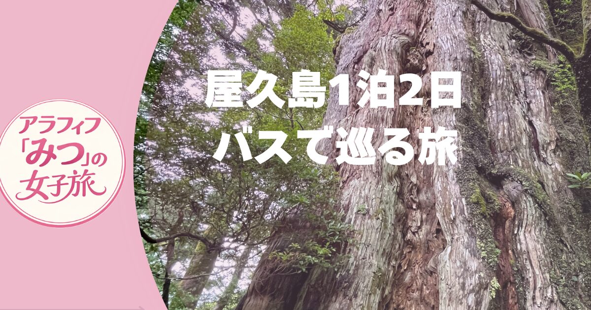屋久島1泊2日 公共交通で巡る 絶景と癒やしの旅