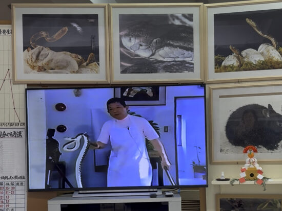 奄美観光ハブ館の2階で上映される昭和感あふれるハブの説明