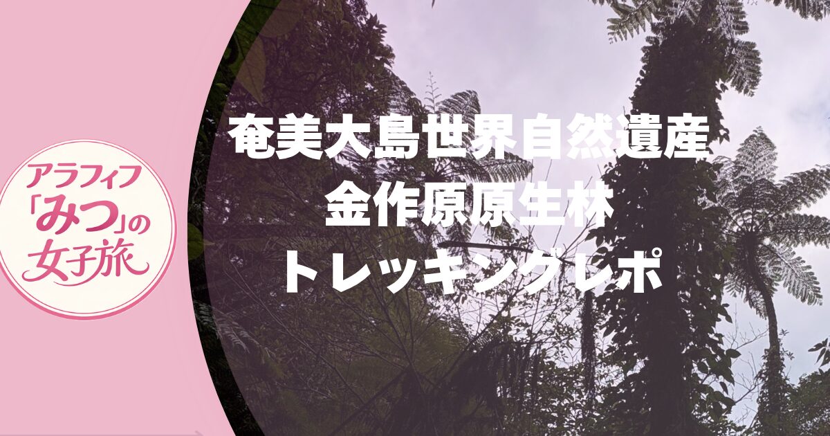 奄美大島　金作原原林トレッキング