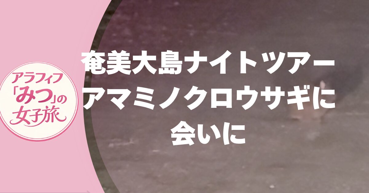 冬の奄美大島 ナイトツアー体験記 アマミノクロウサギに会いたい！