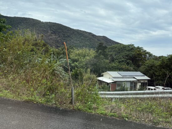 奄美大島の道端に設置されたハブを退治するための専用の棒