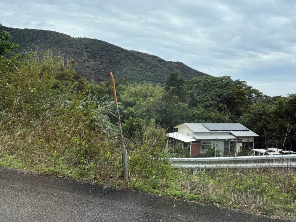 奄美大島の道端に設置されたハブを退治するための専用の棒