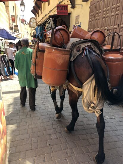 モロッコ・フェズの市場(メディナ)の狭い路地で荷物を運ぶ馬