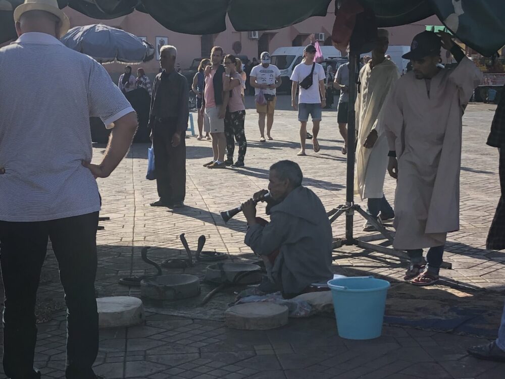 マラケシュのジャマ・エル・フナ広場の名物、笛の音に合わせて首をもたげるコブラと、それを取り囲む大道芸人の風景