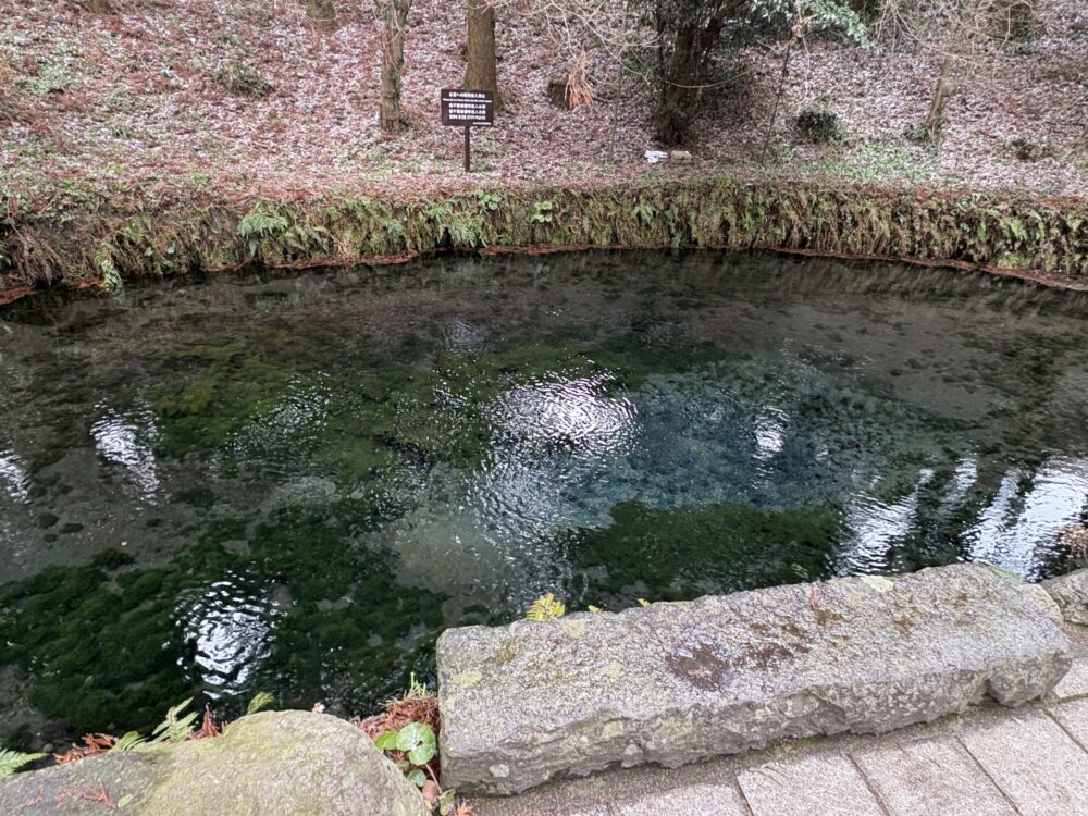 熊本県南阿蘇村にある白川水源。底の砂が舞い上がるほど勢いよく水が湧き出る、透明度の高い美しい池