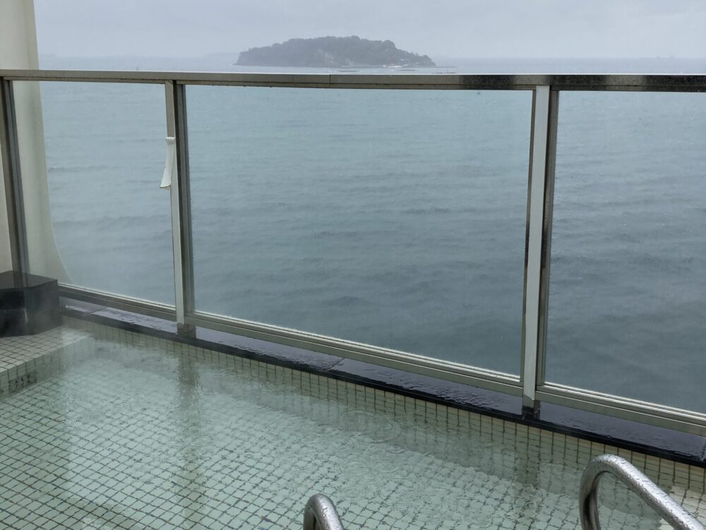 東京九州フェリー それいゆの展望大浴場からみる猿島