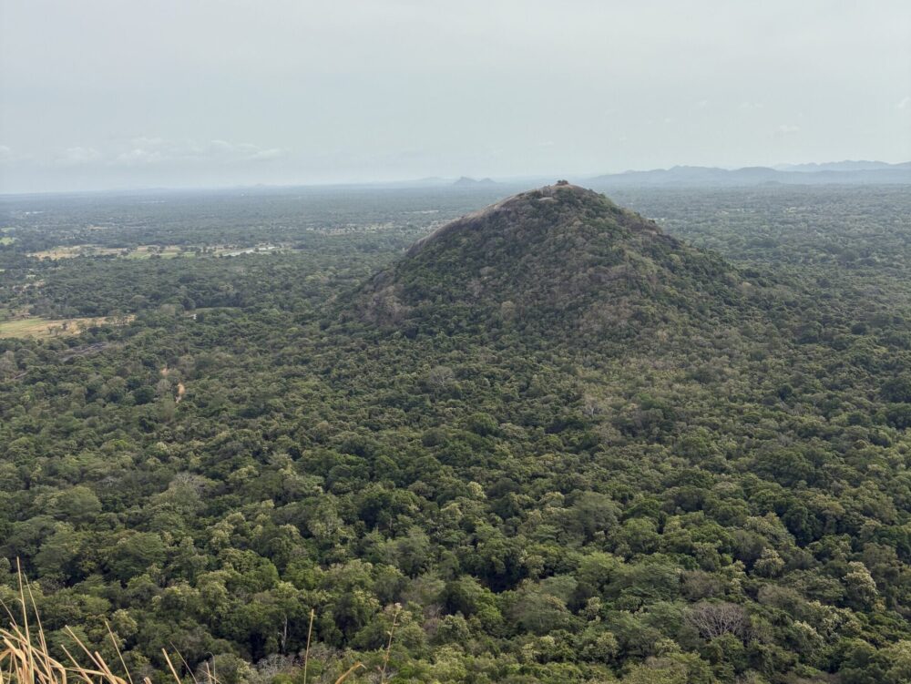 シギリヤロック山頂からの景色