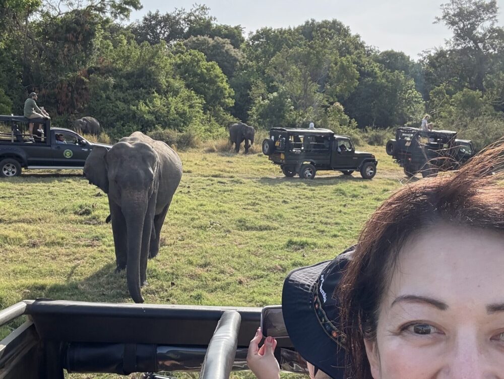 ミンネリヤ国立公園サファリを楽しむ様子