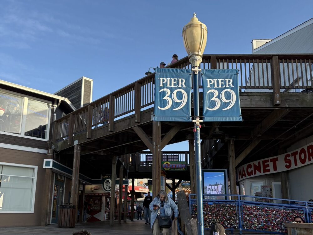 PIER39