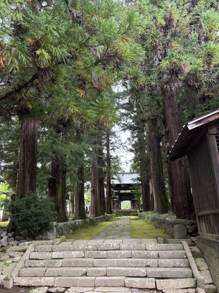 諏訪の慈雲寺へ続く苔の美しい参道